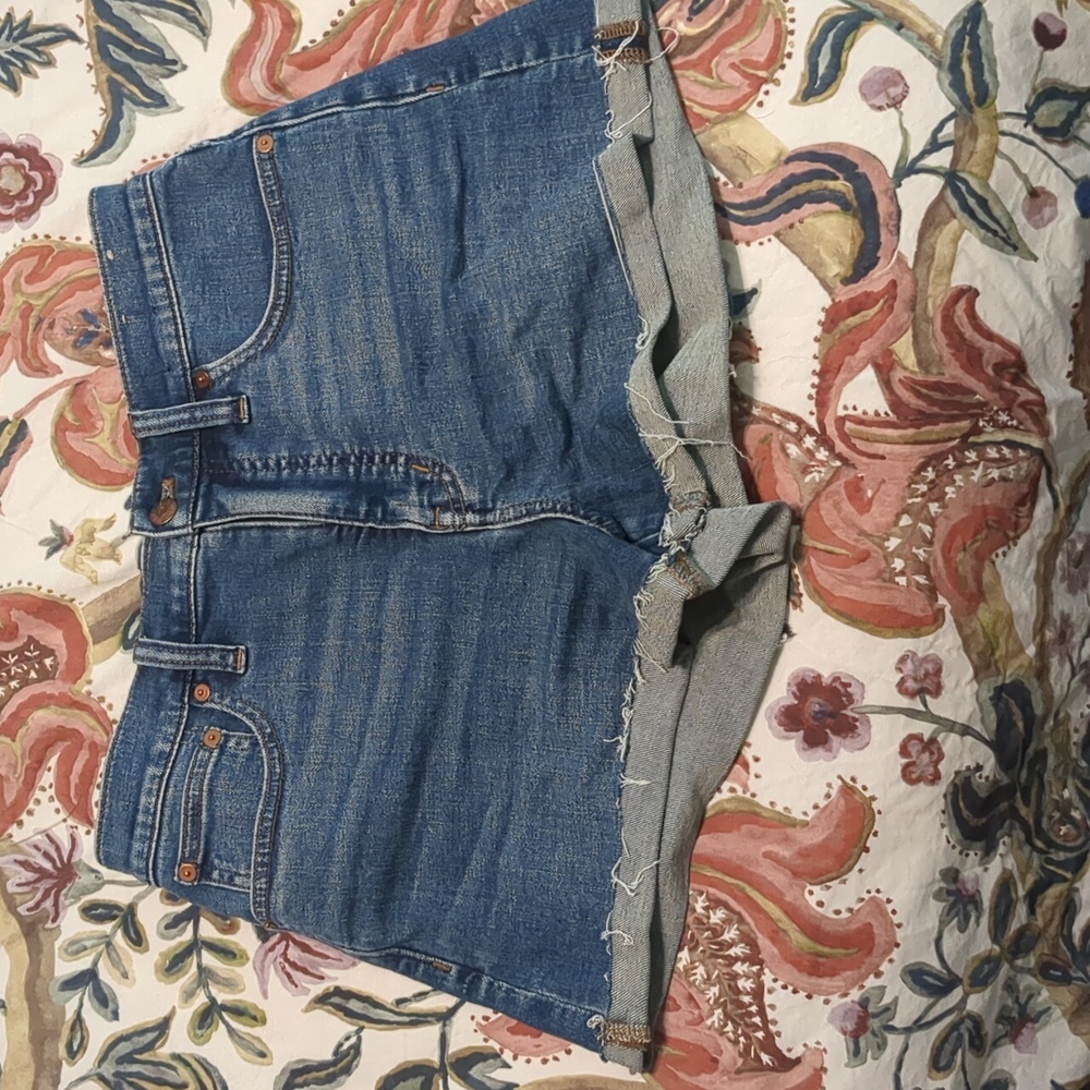 High-Rise Denim Shorts in Karnes Wash